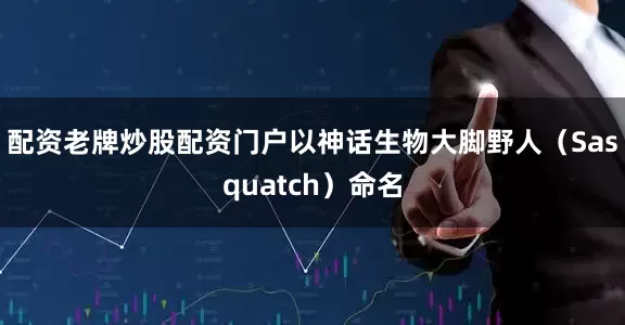 配资老牌炒股配资门户以神话生物大脚野人（Sasquatch）命名