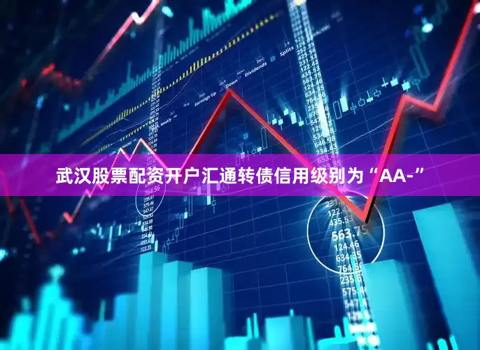 武汉股票配资开户汇通转债信用级别为“AA-”