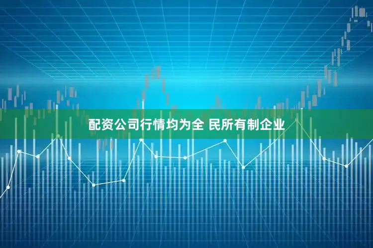 配资公司行情均为全 民所有制企业